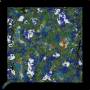 yssmap_20260124.jpg