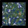yssmap_20260124_s.jpg