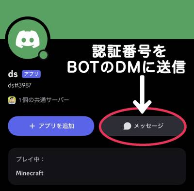 無題476_20251118023631.jpeg