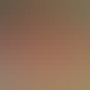 20260529-1249381.png